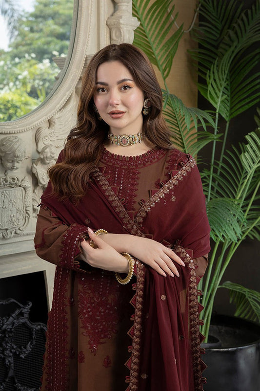 Maroon embroidered chiffon suit - side pose