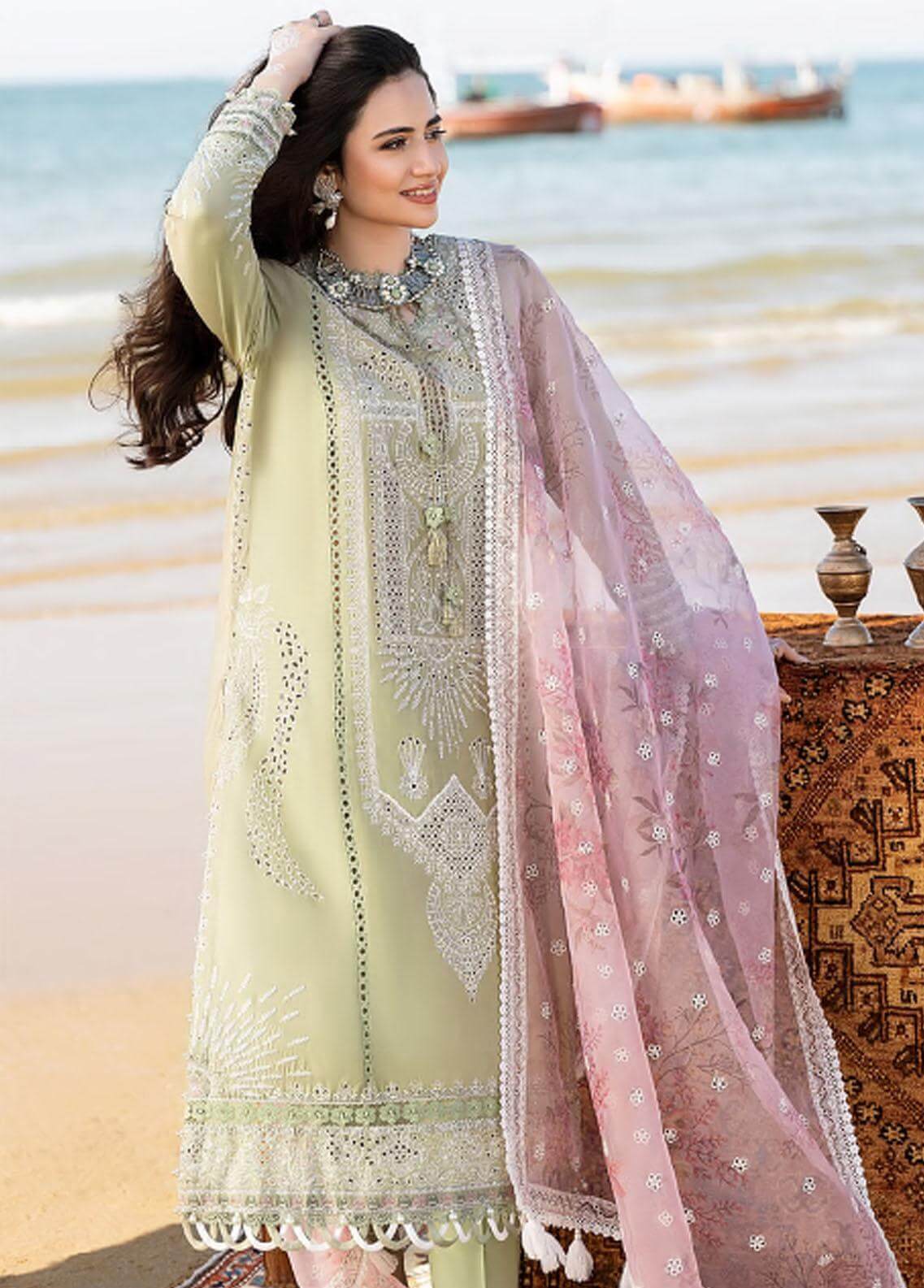 SR-CH10 Embroidered ChickenKari Lawn Suit With Printed Organza Dupatta